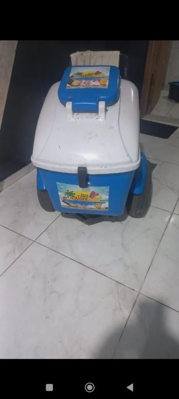 Vendo carrinhos de picolé (ler anúncio) - Foto 2