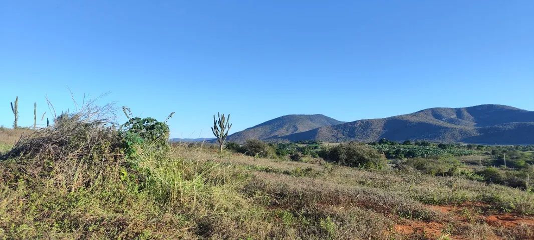 Terreno Chácara com 1.000m2 próximo ao centro de Jequié/BA - Foto 4