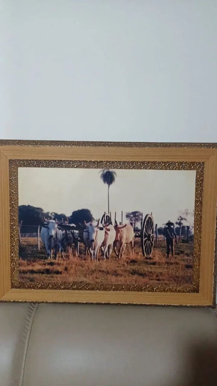 Quadros - Foto 2