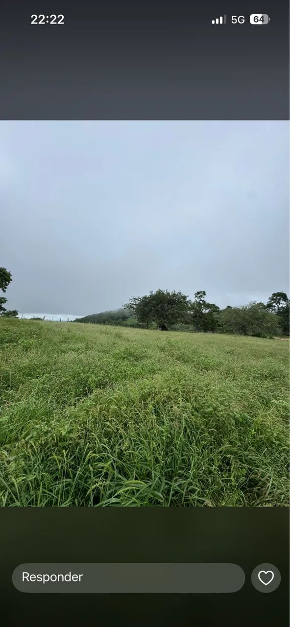 Vendo fazenda a 7km de Itaberaba  - Foto 7