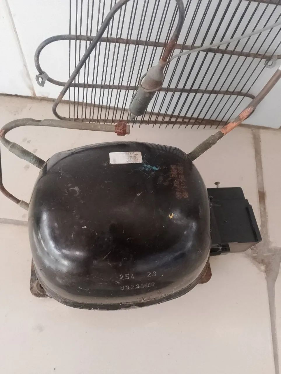 Motor bebedouro 50,00