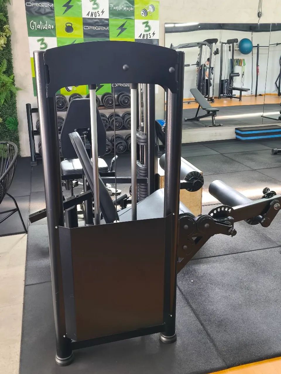 Cadeira extensora e flexora - academia