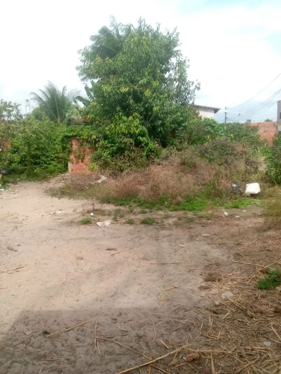 Vendo terreno de 27 de frente e 25 de fundo  - Foto 5