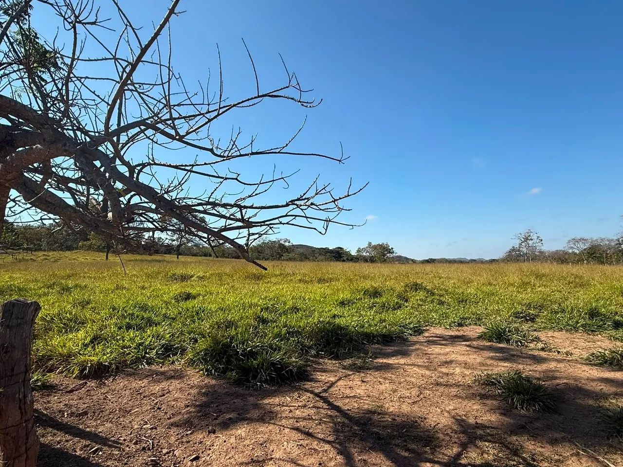 Fazenda toda formada 