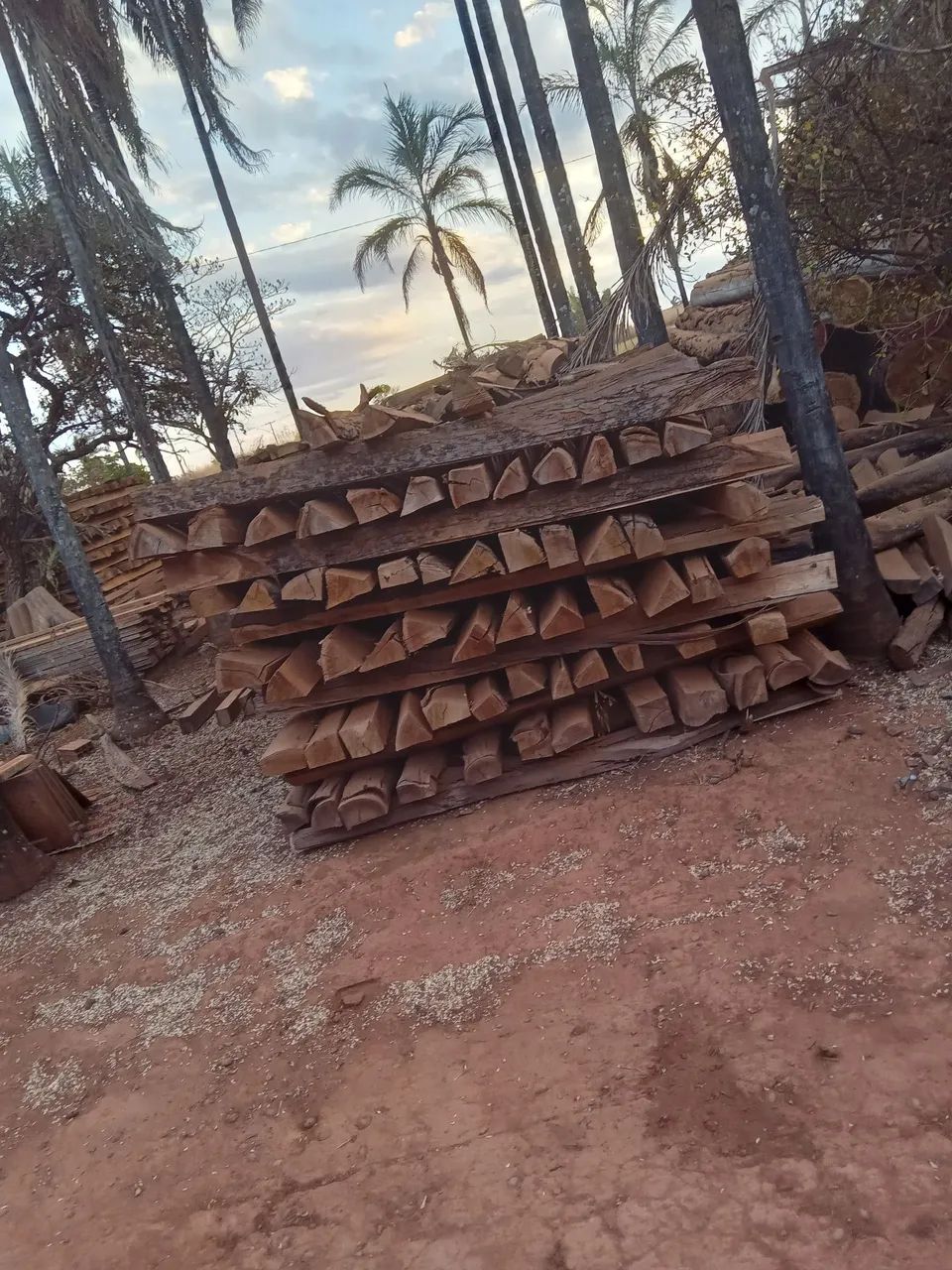 Madeira em geral  - Foto 2