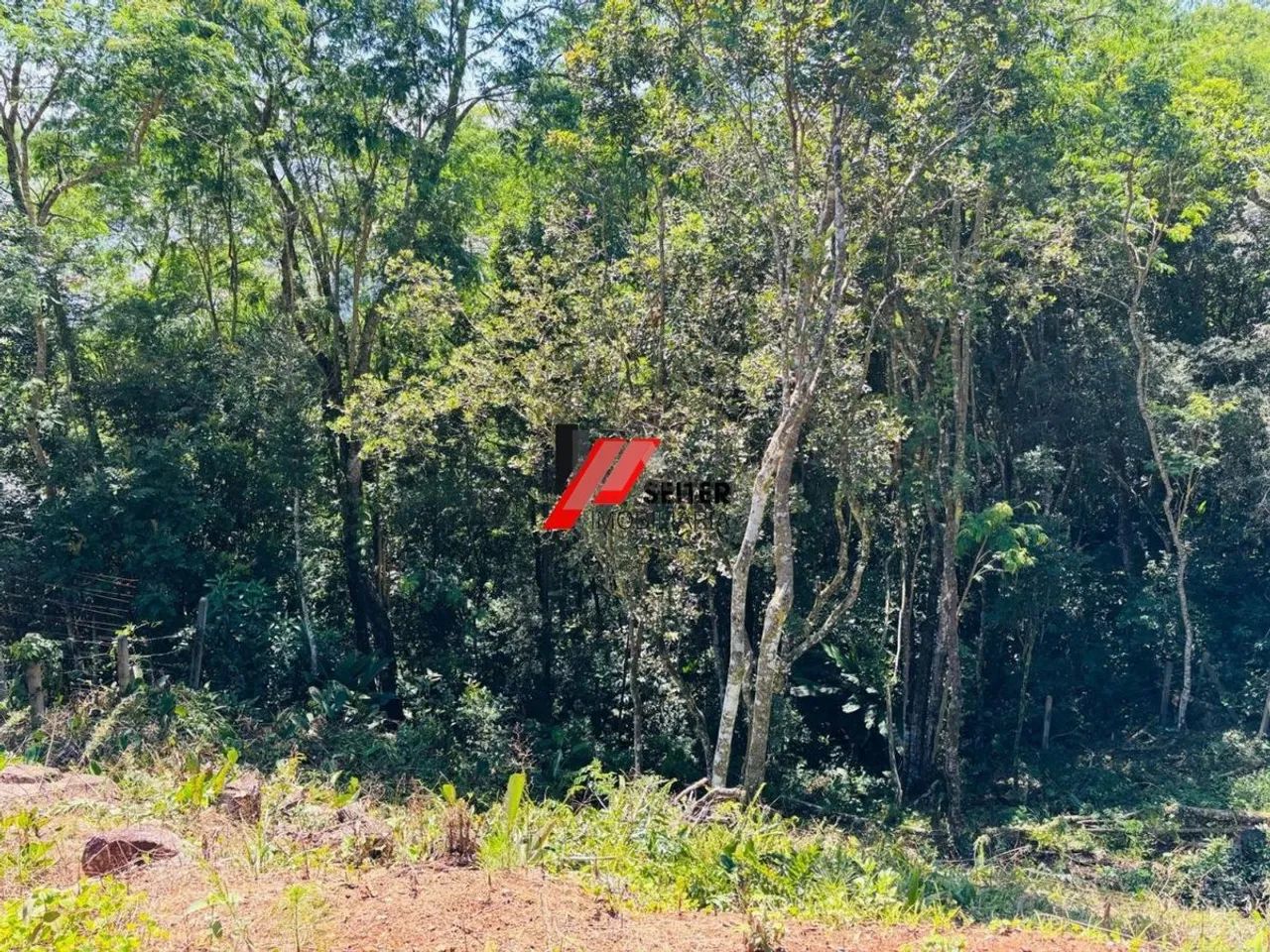 Terreno a venda Corrego grande - Foto 4