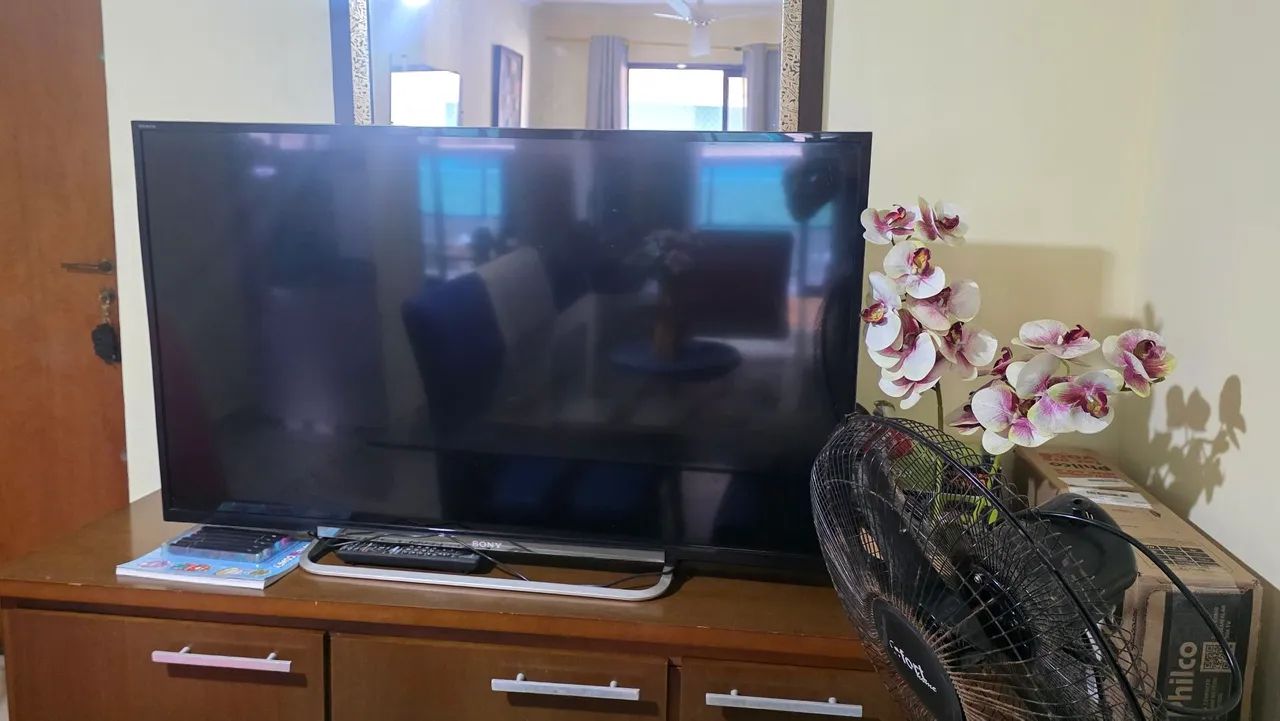 Tv Sony 43 polegadas R$100 - para retirar peças  - Foto 2