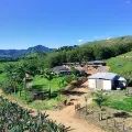 Sitio para Venda - Foto 2