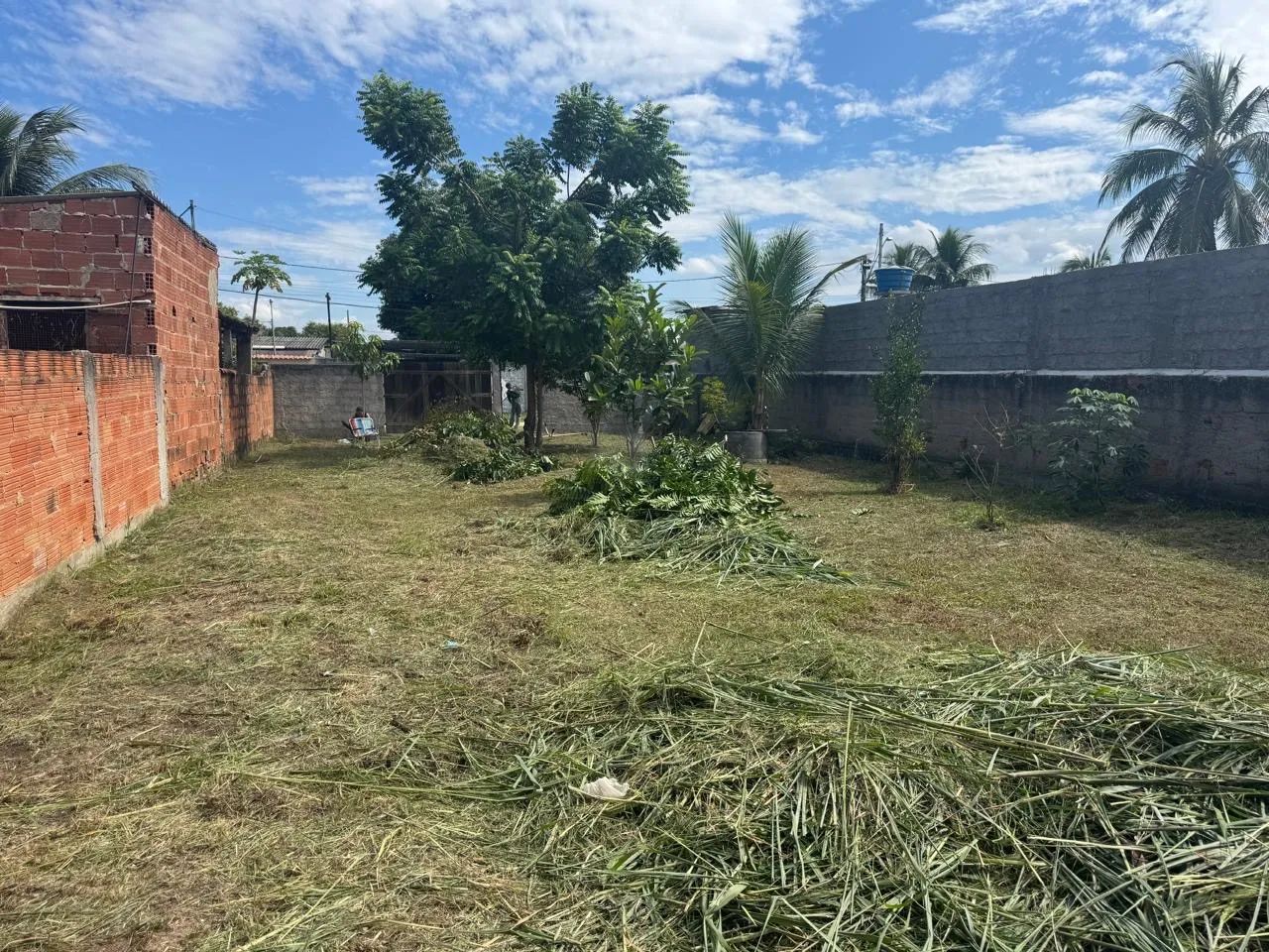 Terreno plano e murado  - Foto 3