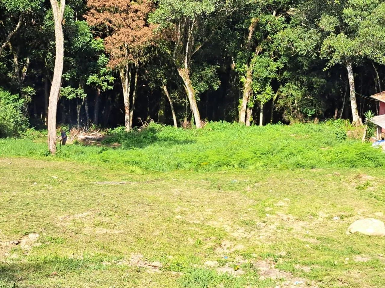 Chácara para ser formada - Foto 3