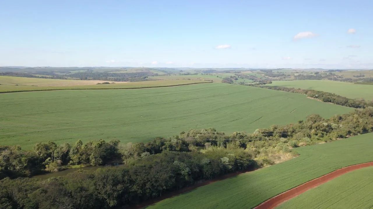 Fazenda  - Foto 4