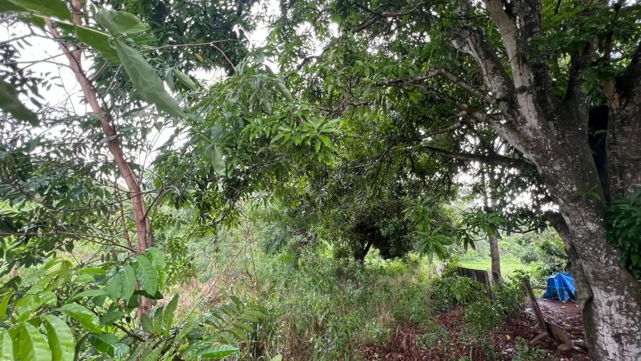 Chácara Urbana Park Haiala - Aparecida de Gyn - Foto 3