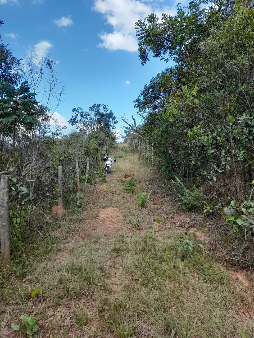 Lote 2000 metros  - Foto 2