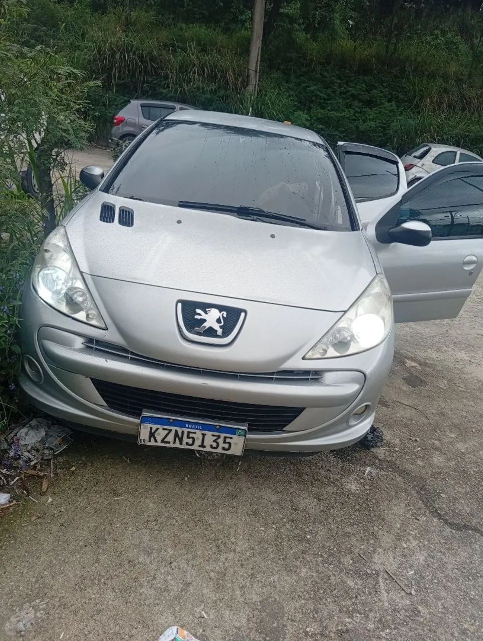Peugeot 207 SEDAN PASSION XR 1.4 FLEX 8V 4P 2011