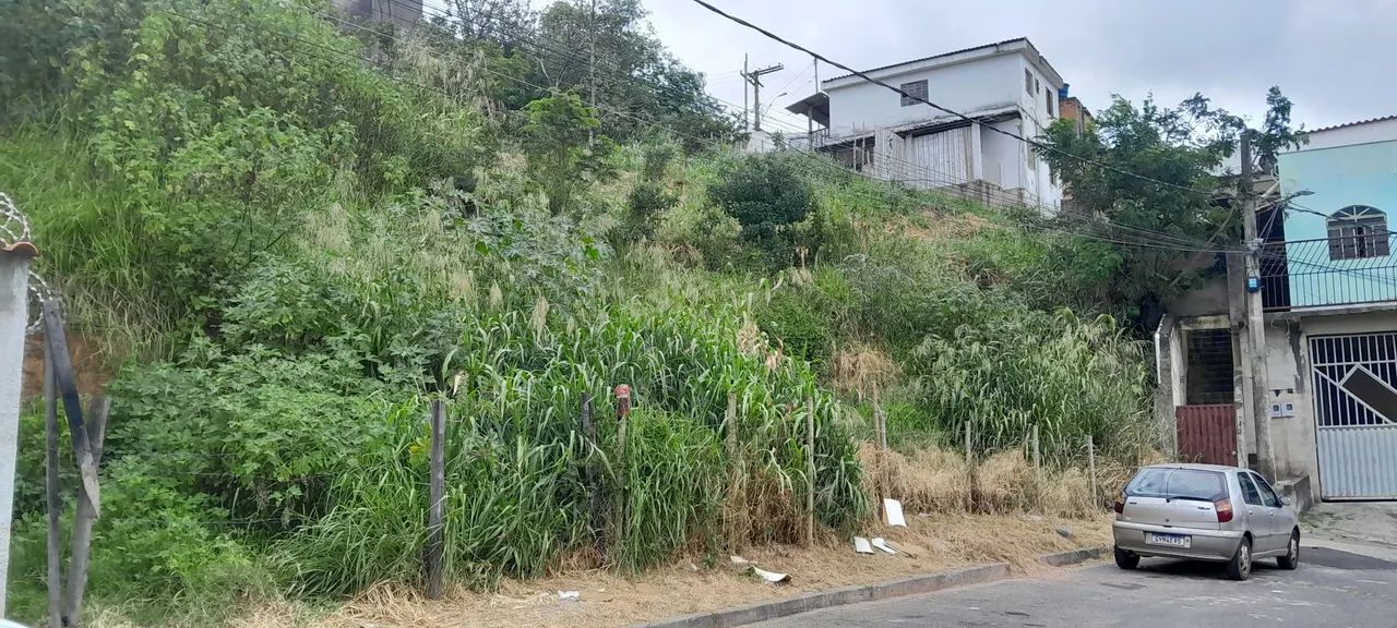 Vendo Lote 250m² bairro independência  - Foto 2