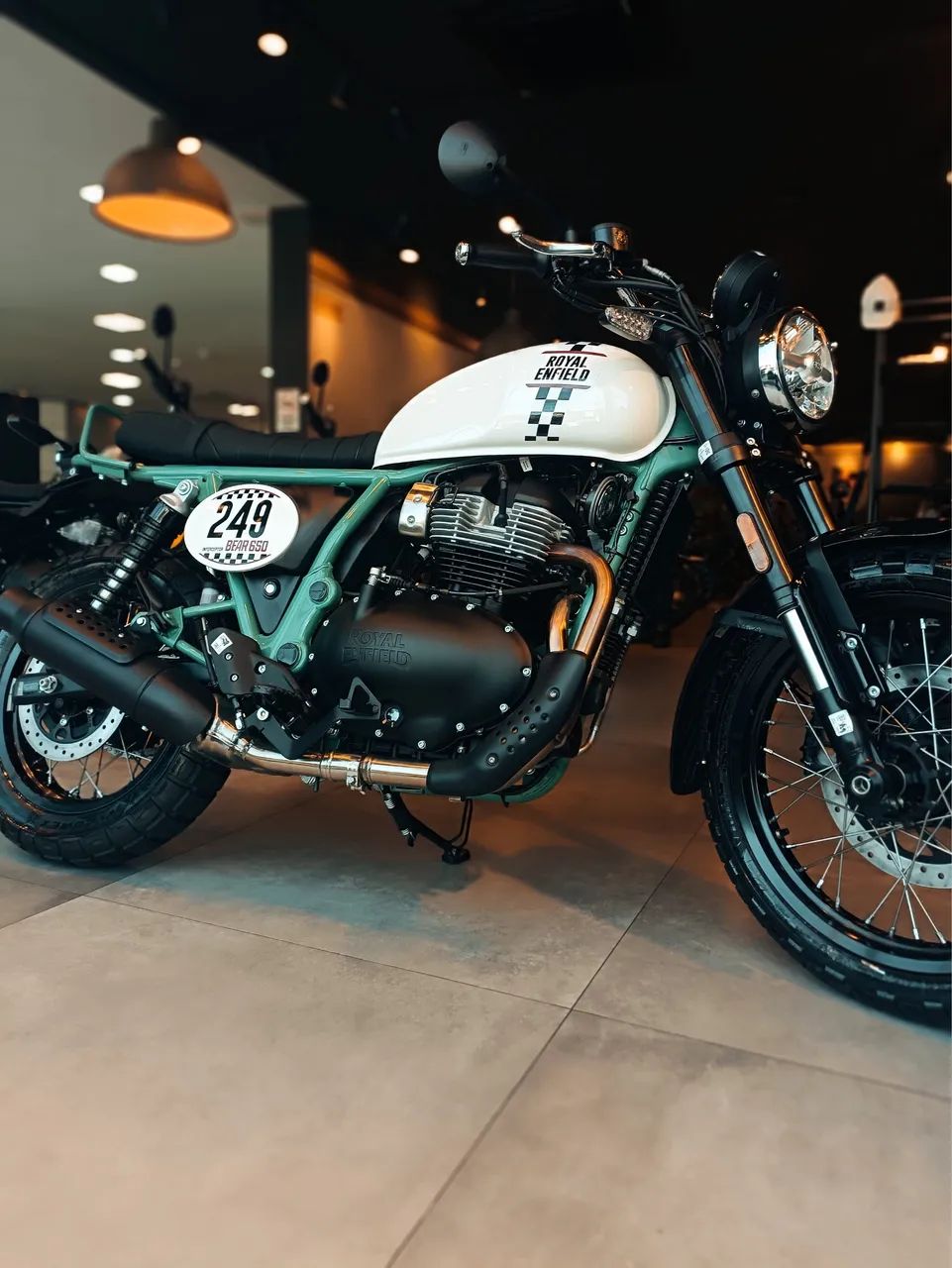Bear 650 - Danielle  - Foto 2