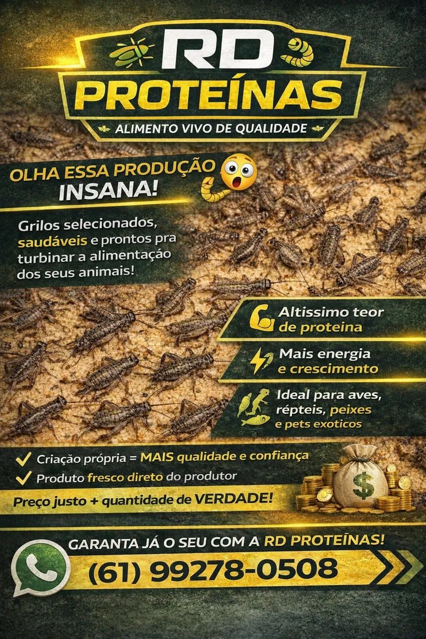 Ração, farelo de arroz, quirela de milho, Tenebrios, baratas, grilos, minhocas, besouros  - Foto 3