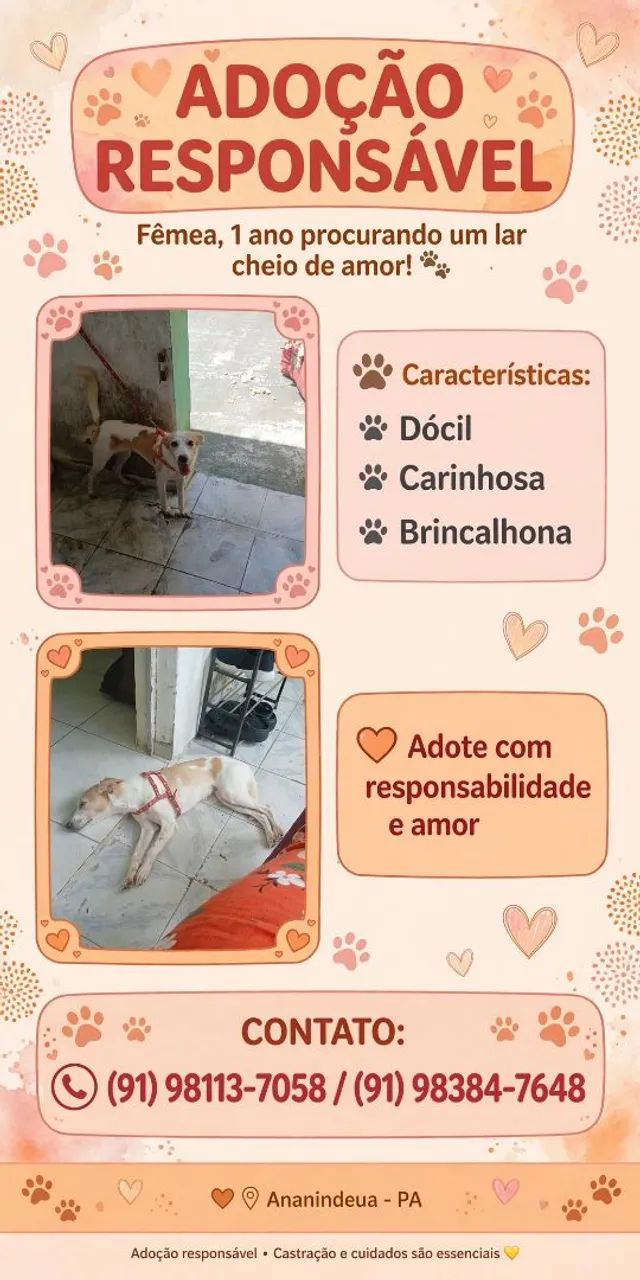 Adoção responsável 