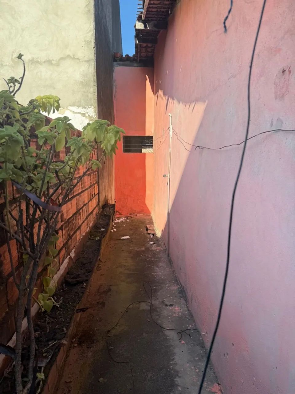 Vendo Galpão comercial no Fernando Collor - Foto 3