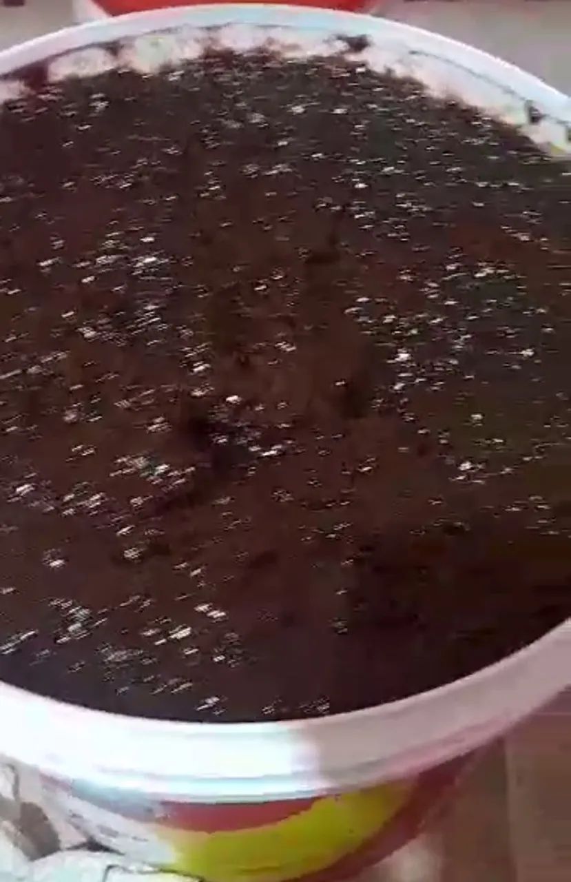 VENDO MEL DE ABELHA DE DOCE DE LEITE E DOCE DE CAJU  - Foto 5