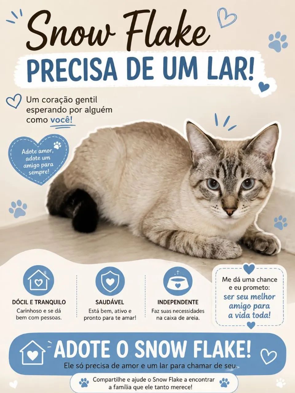 Gato