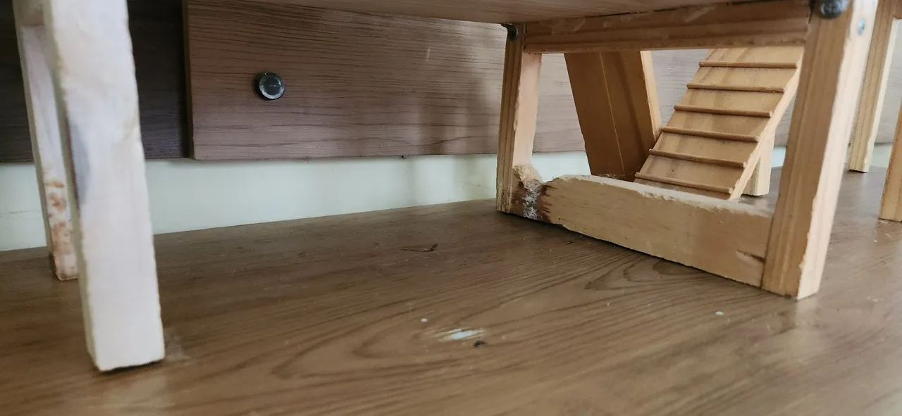 Itens de terrário para hamster ou roedores pequenos - Foto 4