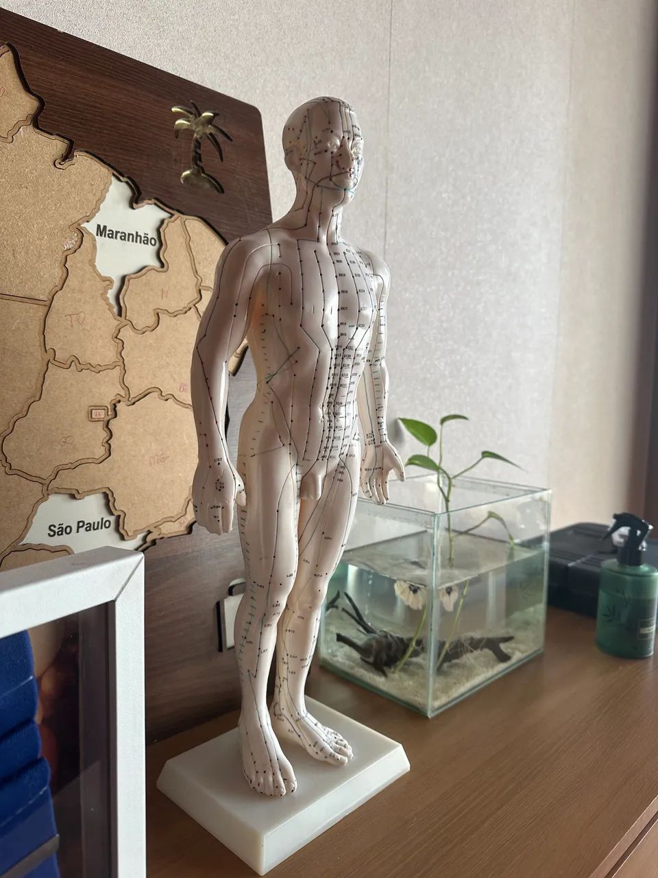 Boneco acupuntura 50cm - Foto 2