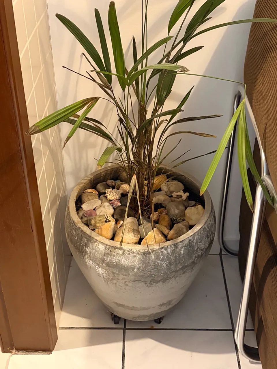Vaso grande  - Foto 2