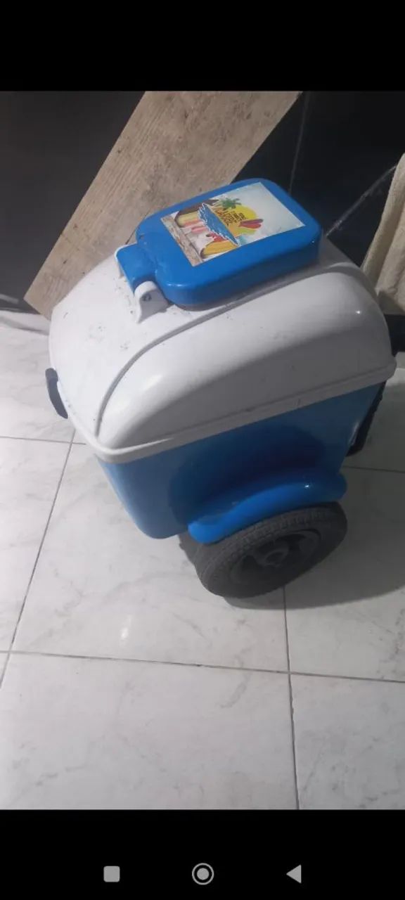 Vendo carrinhos de picolé (ler anúncio) - Foto 3