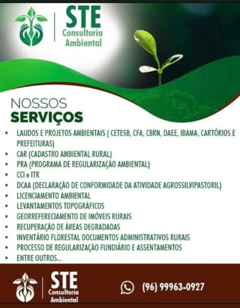Consultoria 