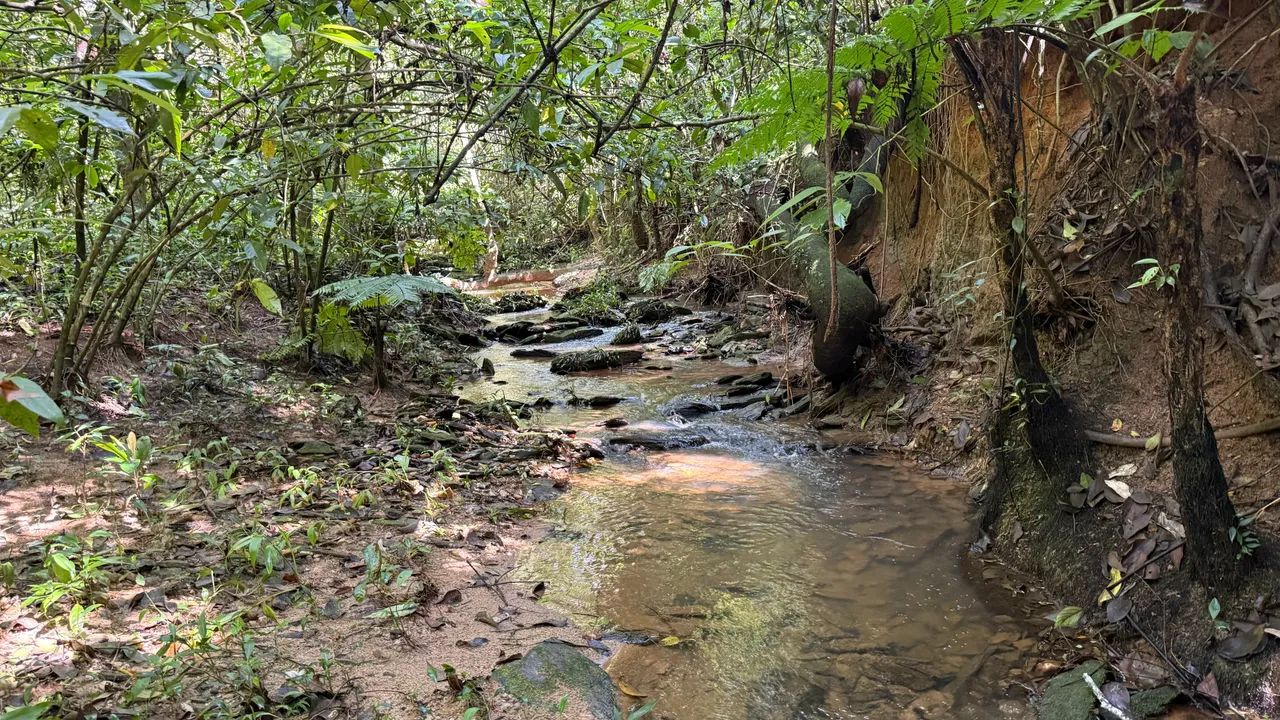 Chacara de 5.100mt com córrego no fundo e muita natureza! - Foto 3