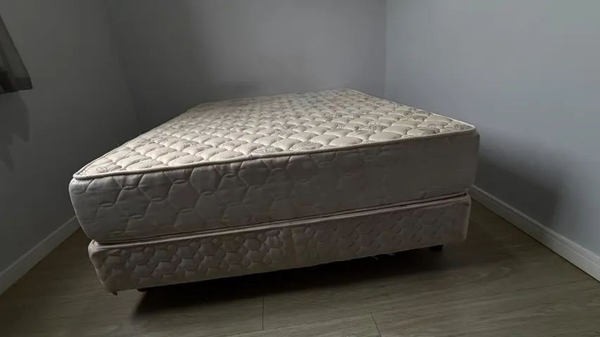 Cama Box Castor - Foto 5