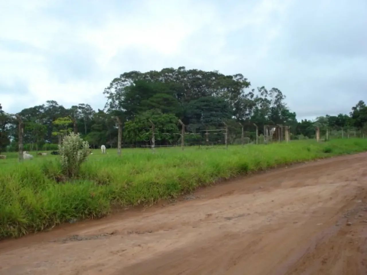 área para empresa - Foto 3