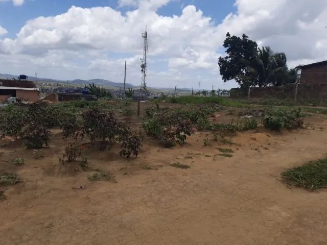 Terreno  - Foto 4