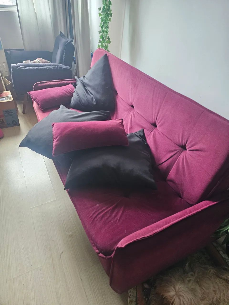 Sofa Cama