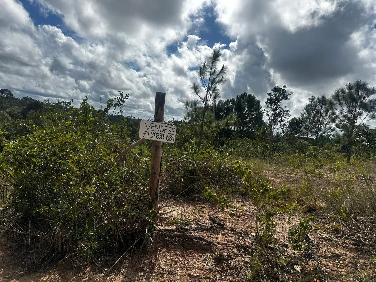 Terreno em Curralinho