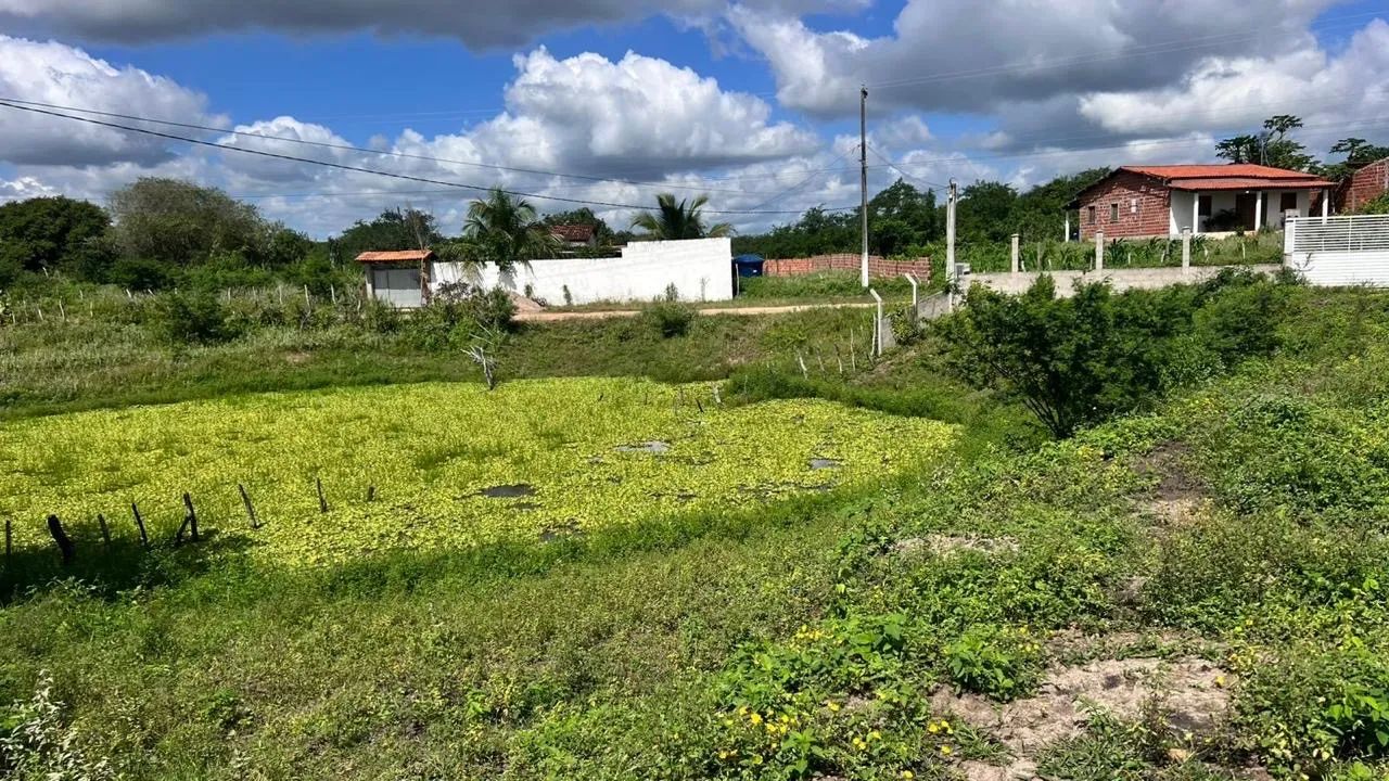 Casa no interior  - Foto 2