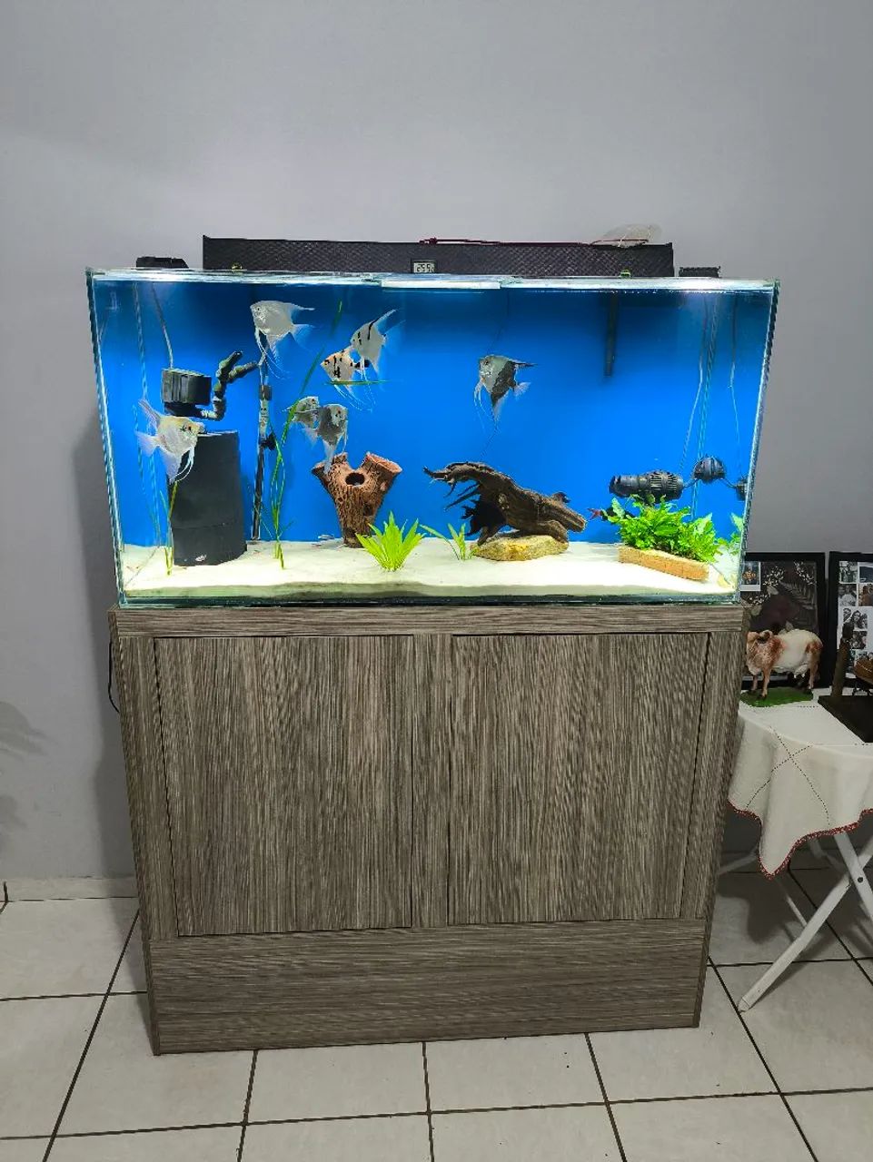 Aquário com Móvel  - Foto 2