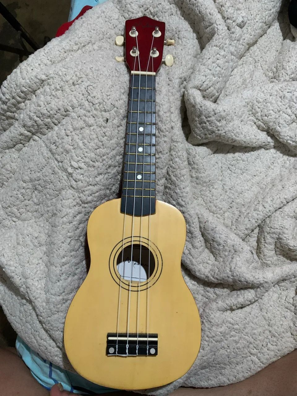 Ukulele aprendiz - Foto 2