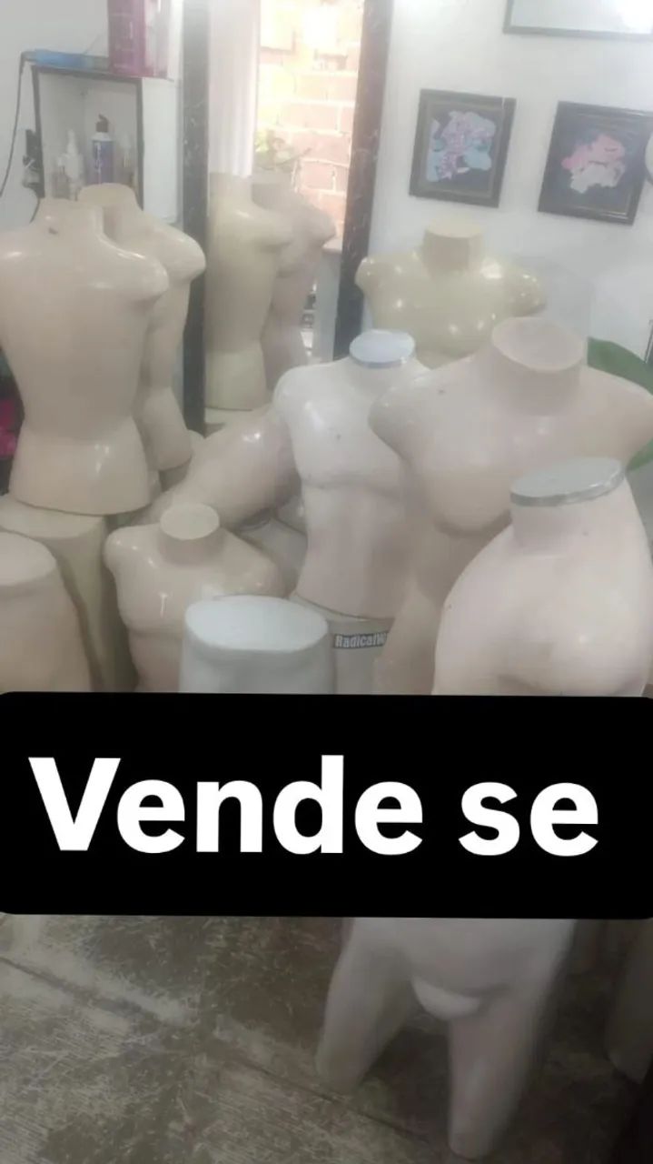 Maniqui masculino 13 busto e 12 cuequeira
