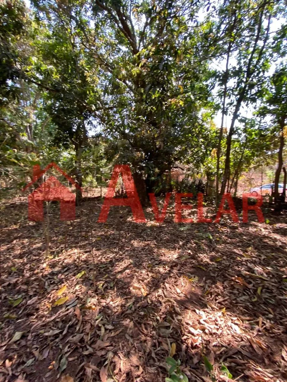 Terreno no Bairro Morada Nova - TE161 - Foto 4