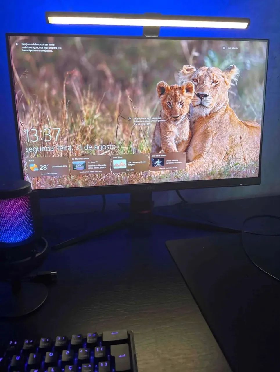Monitor gamer 165hz