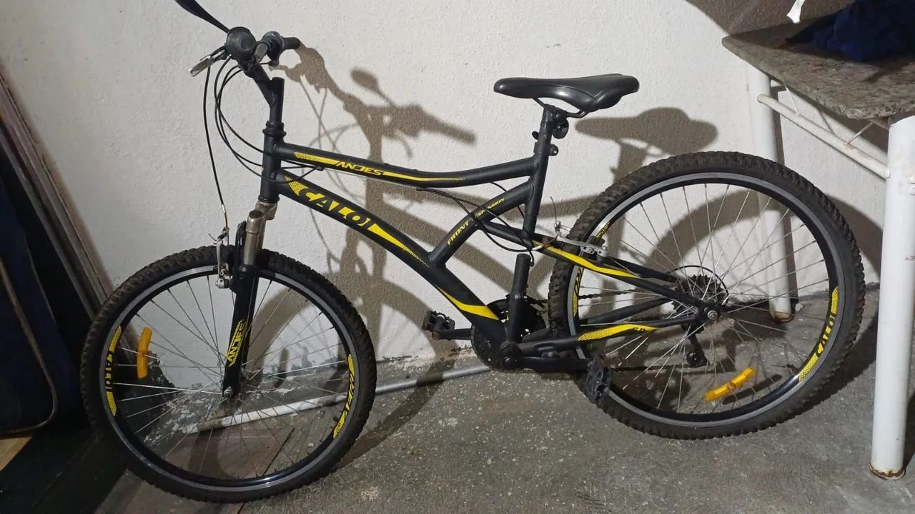 Bicicleta 
