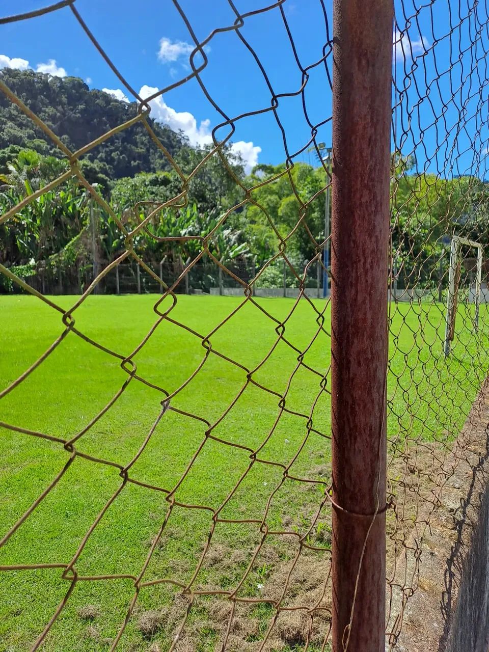 Prédio/Edifício inteiro para venda tem 4000 metros quadrados - Foto 3