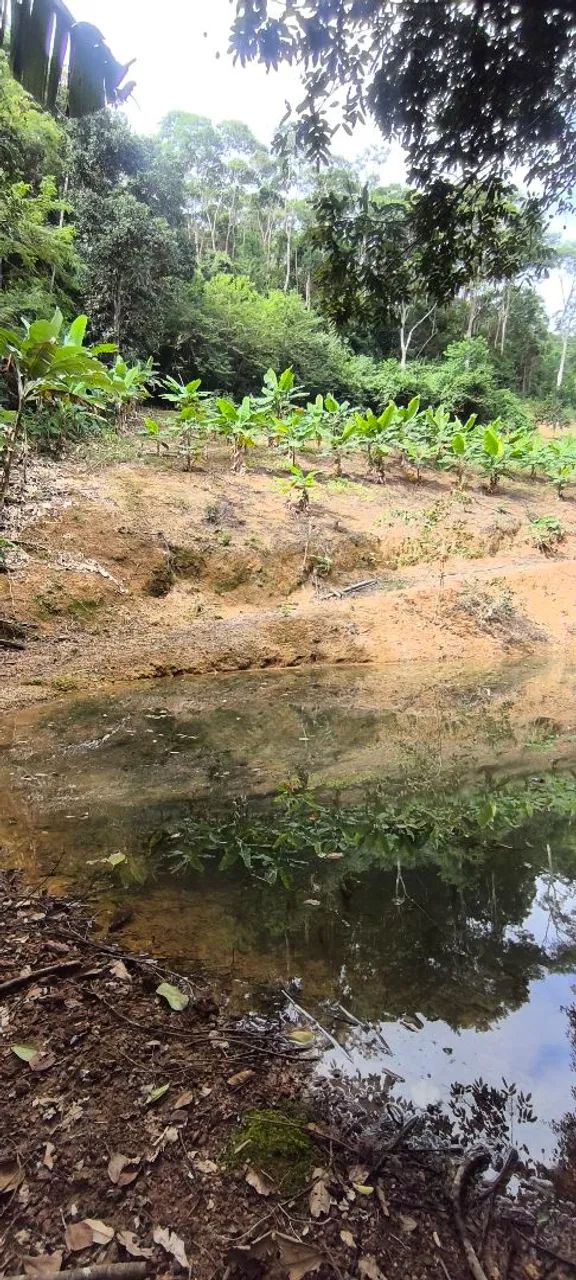 Vendo Chácara em Taquaras - Viana, próximo a Bom Jesus e Peixe Verde 