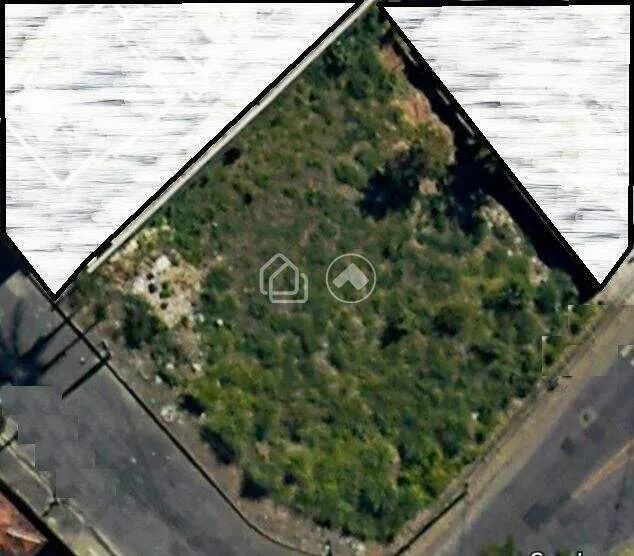 Lote para alugar no bairro Palmeiras