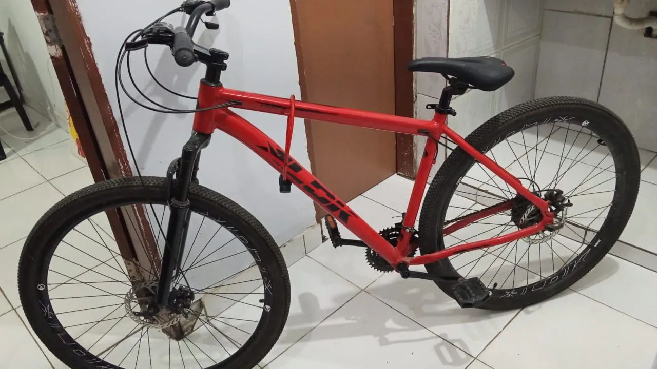 Bicicleta 