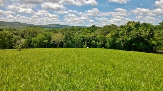 Fazenda em FORMOSA - GO, p/ Pecuária - Foto 4