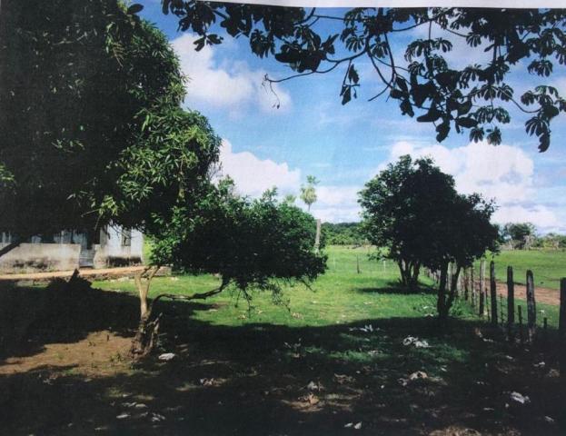 FAZENDA A VENDA NO PANTANAL MS (Pecuária)