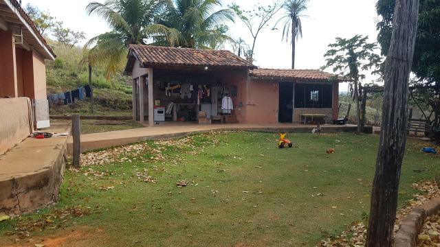 Lindíssima Fazenda de 168 Hectares - Terra Engorda Boi e Criação de Peixes - Foto 9